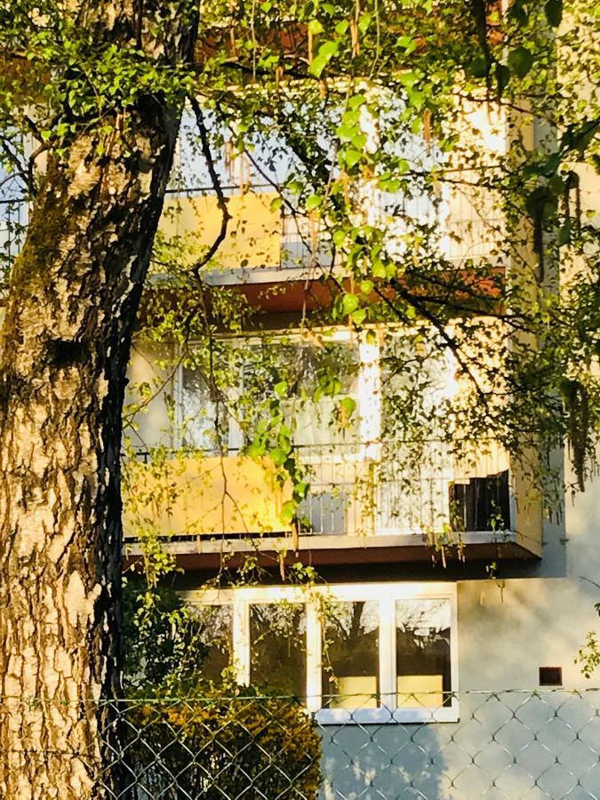 דירות קלגנפורט Sandra'S Studio מראה חיצוני תמונה
